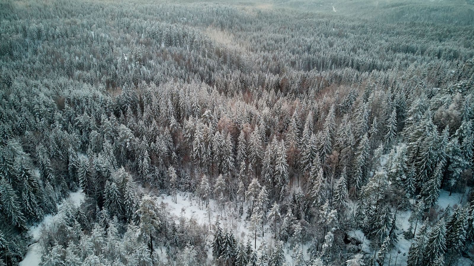 Talvi matkailuautolla Suomessa