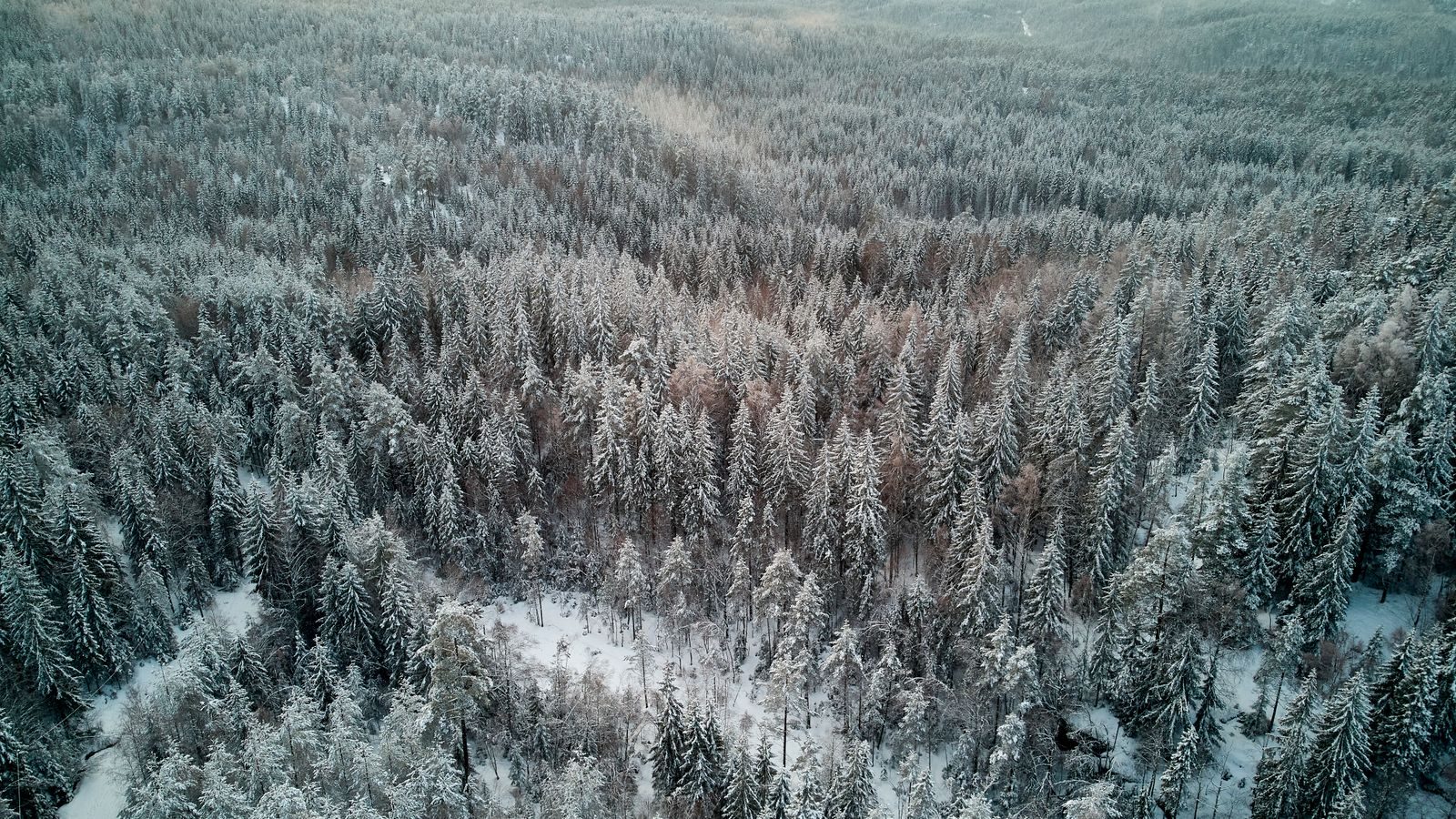 Talvi matkailuautolla Suomessa